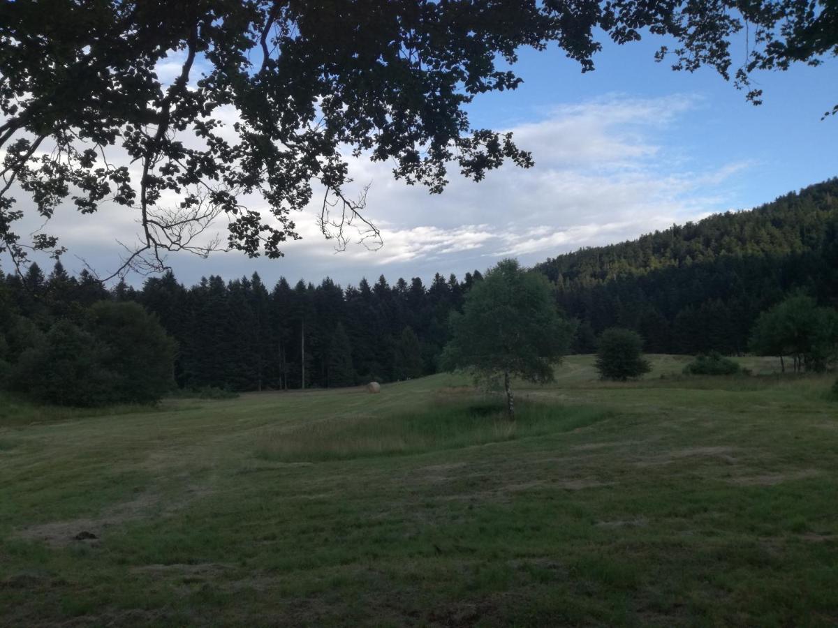 Kuca Za Odmor "Jasna" Lägenhet Crni Lug Exteriör bild