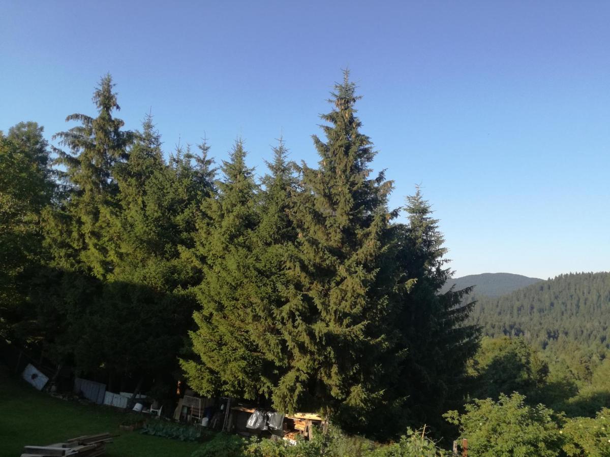 Kuca Za Odmor "Jasna" Lägenhet Crni Lug Exteriör bild