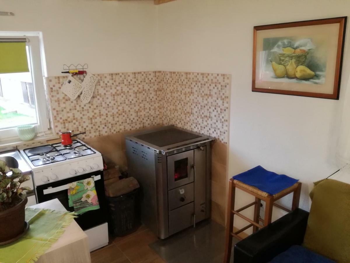 Kuca Za Odmor "Jasna" Lägenhet Crni Lug Exteriör bild