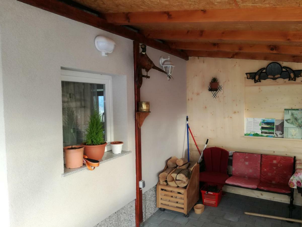 Kuca Za Odmor "Jasna" Lägenhet Crni Lug Exteriör bild